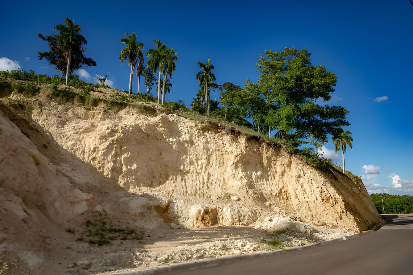 Dominican Coral Stone